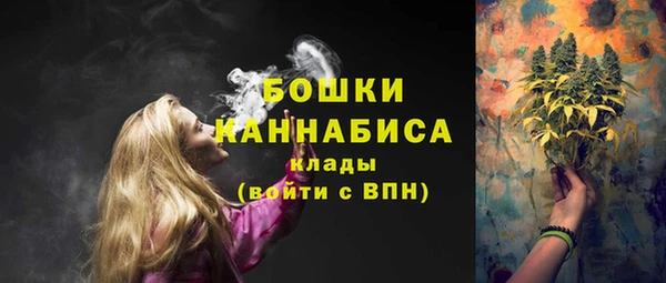 СК Балахна