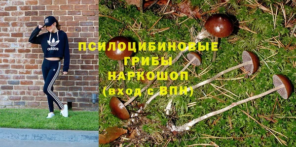 СК Слюдянка
