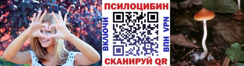 mega онион  как найти закладки  Кыштым  Псилоцибиновые грибы Psilocybe 